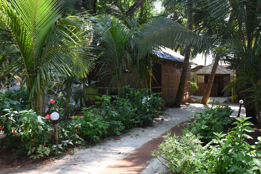out side of huts