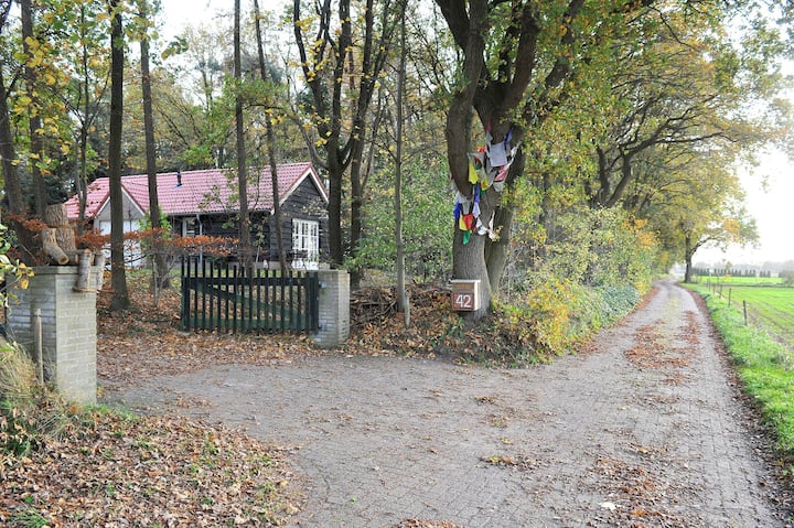 B&B Oekelsbos - Bed & Breakfast in Rijsbergen