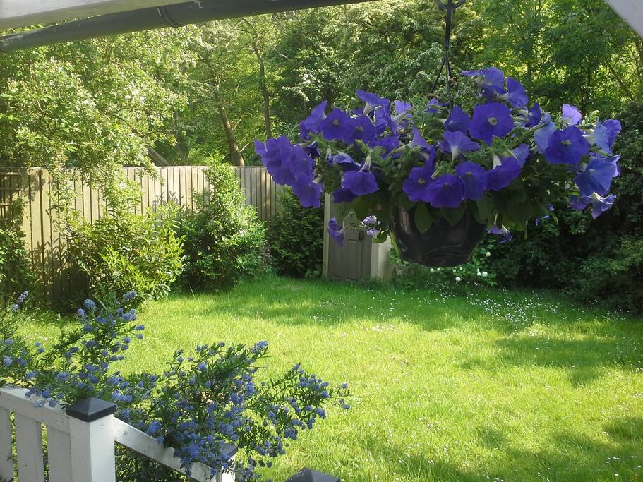 Eigen tuin