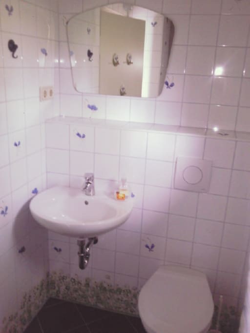 Waschbecken und WC
