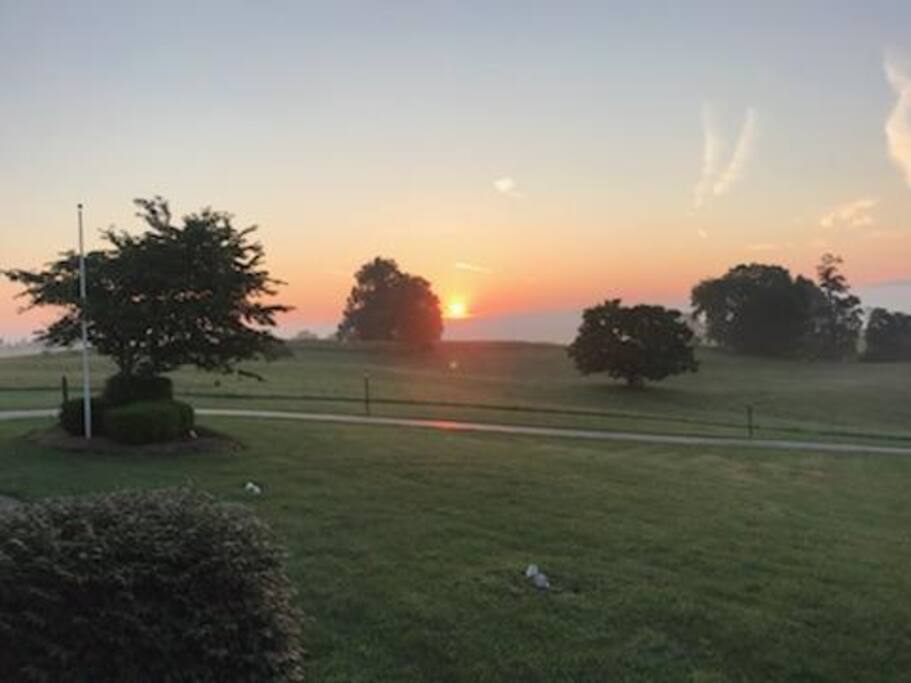 Front yard view.