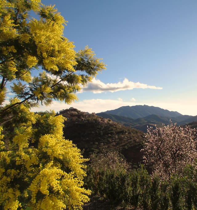 Marbella is only 20 minutes away, but you are on another planet.