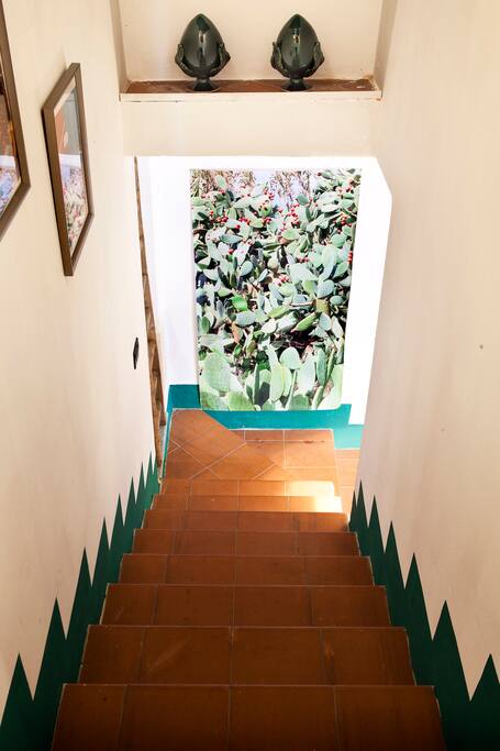 Stairs leading to the basement