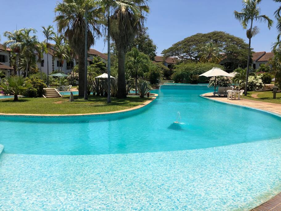 The pool