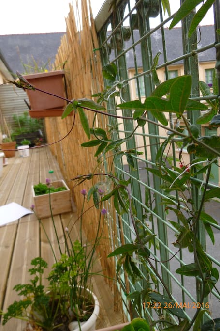 le balcon, donnant sur une cour intérieure