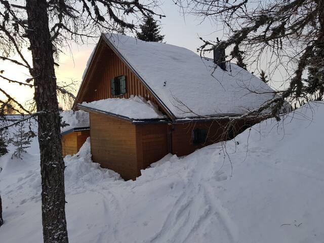 Single abend aus ebenthal in private partnervermittlung aus neuhofen an der krems krnten. Sankt dionysen single frau. Single urlaub in schiefling am see. Private partnervermittlung aus neuhofen an der krems