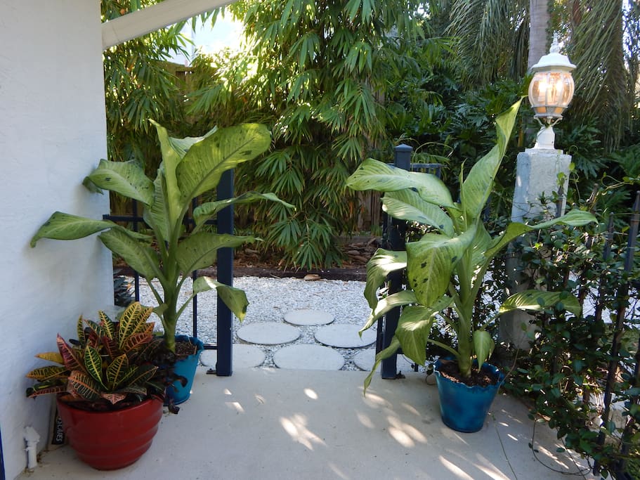 Entrance from parking pad...bamboo :)