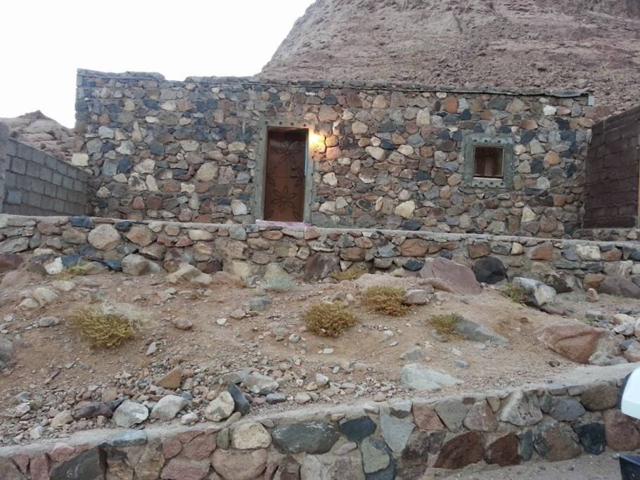 the house and the wall of the backyard to the right