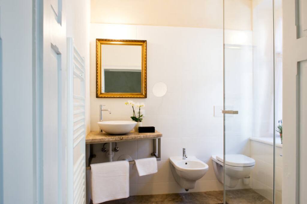 Haller Suite