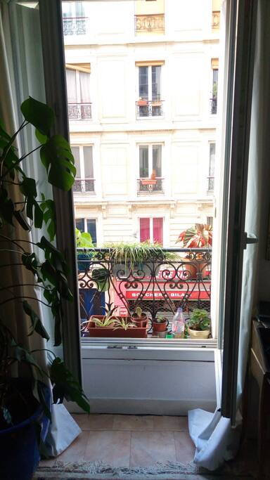 quelques fleurs