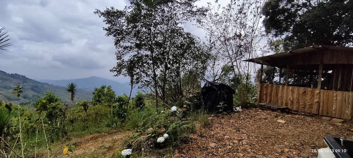 A natural landscape features lush greenery and mountain views under a cloudy sky. In the foreground, a wooden structure can be seen, with a surrounding area of vegetation and scattered white flowers. The distant mountains create a serene backdrop.