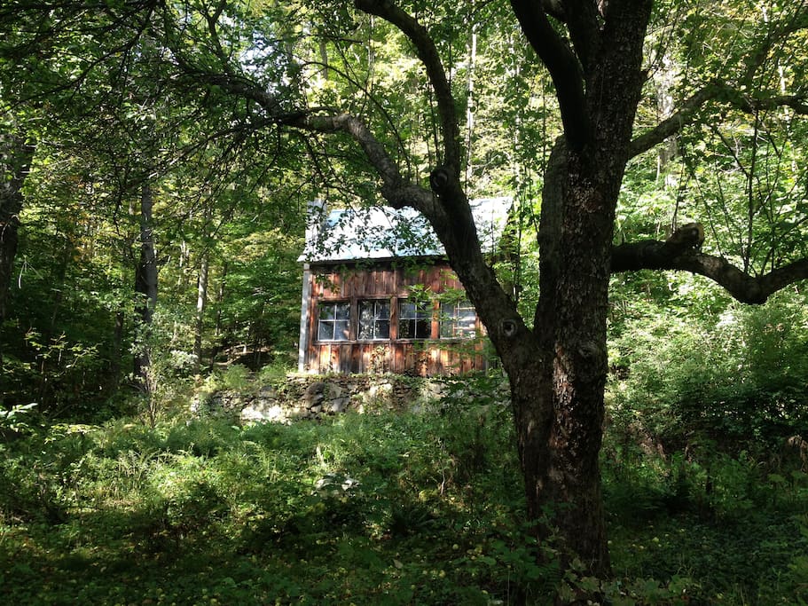 Cabin in the Woods; offgrid Cabins for Rent in Sharon, Vermont