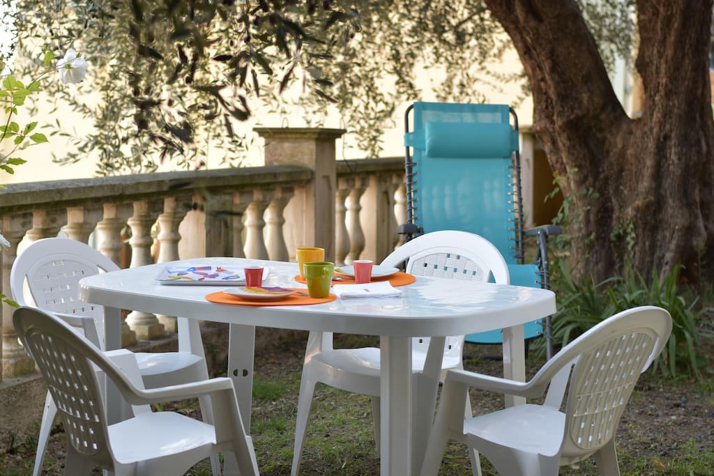 Jardin