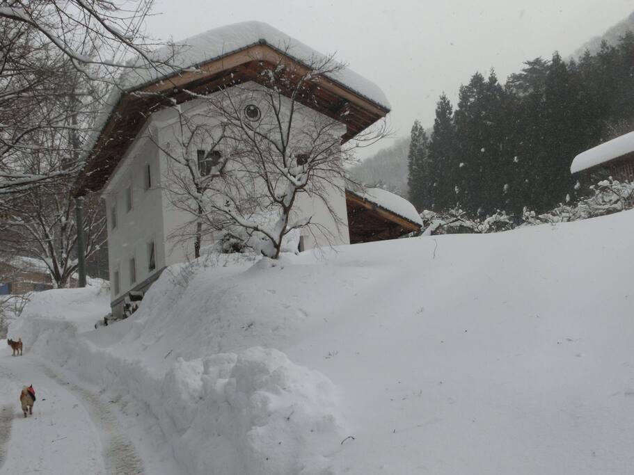 Let it snow, let it snow . . .