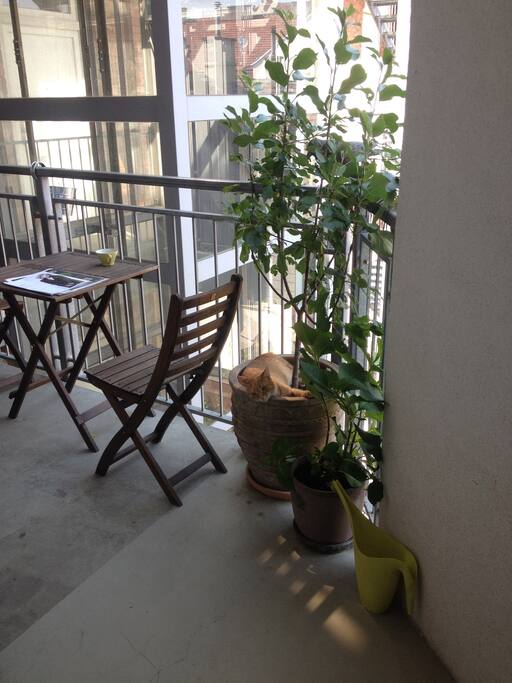 possibility to sit outdoor