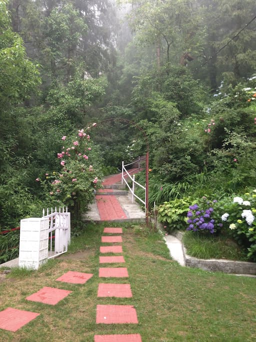 Path to the property