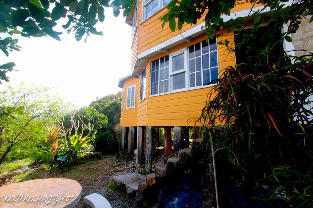 The house