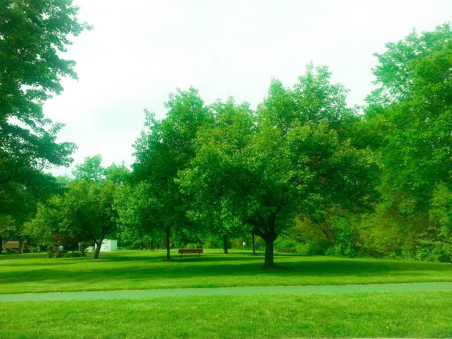 Walking path near the home