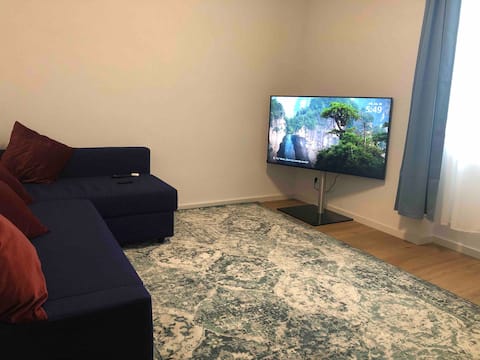 2 bedroom apartment in the Benz district