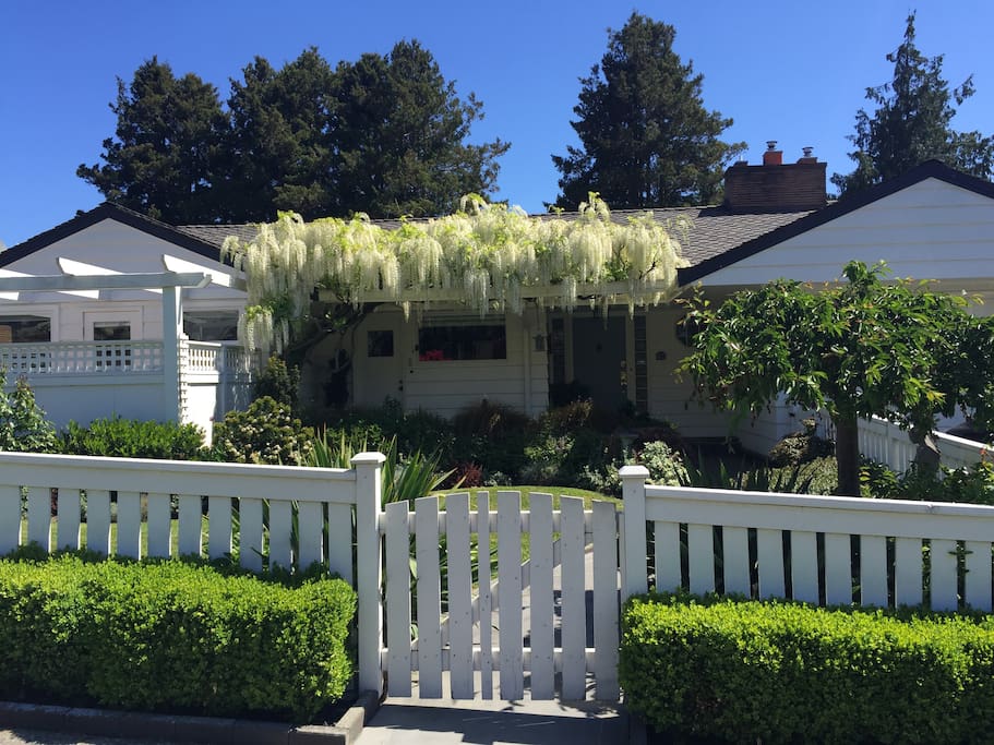 Charming Mid-century with lovely garden. Enclosed yard and decks w/outdoor dining/BBQ