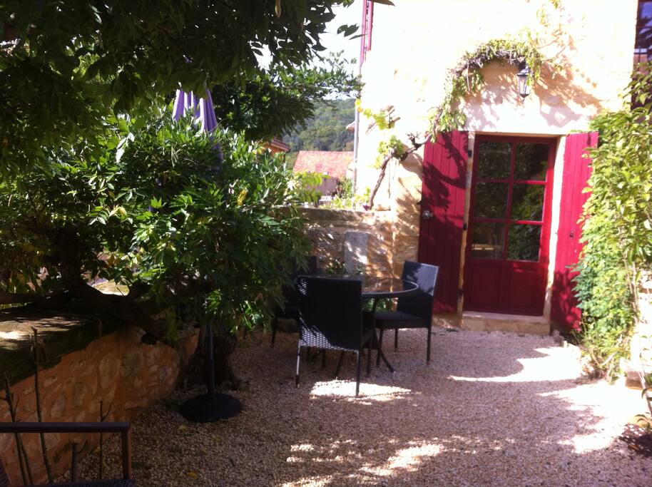 terrasse en été a l'ombre de la glycine