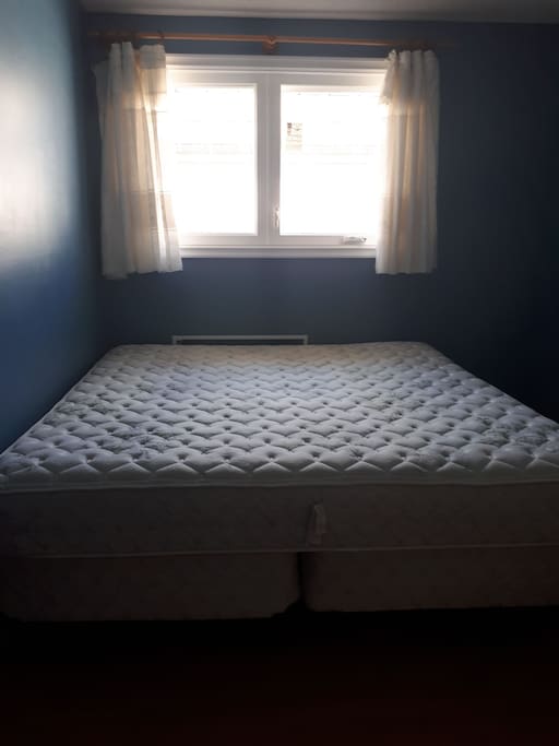 King size bed with great source of sunlight.