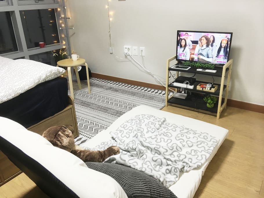 Sofa Bed for 1 person