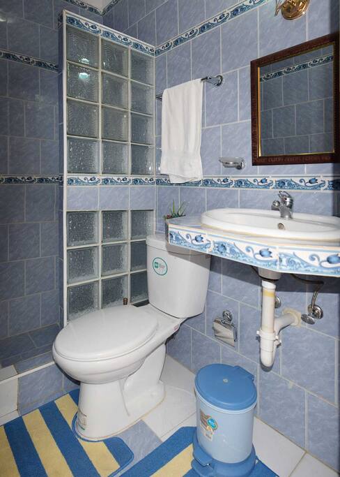Baño de la habit 2