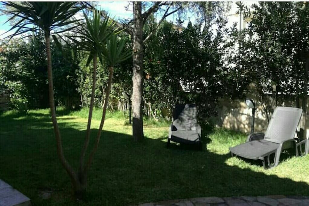 garden