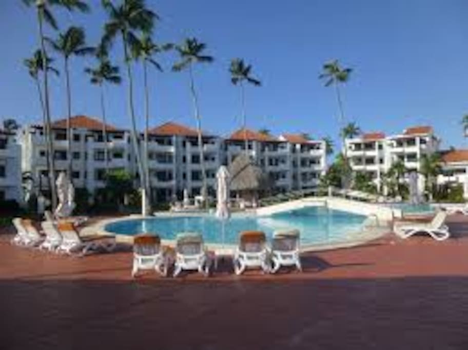 Pool View from Patio