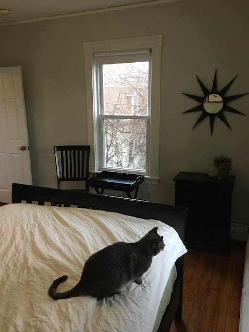 Back bedroom with queen-size, pillow-top mattress. (Cat not included.)