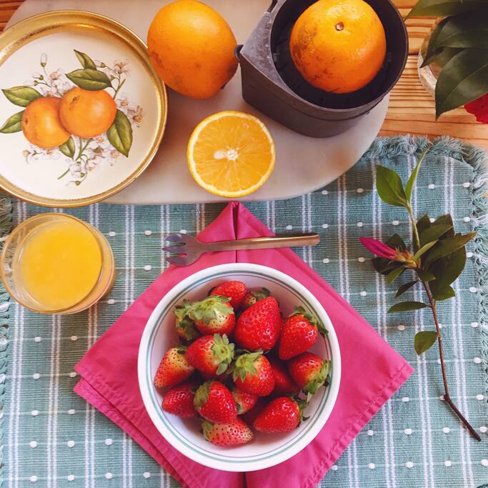 A light organic breakfast is included with your stay. We even offer gluten free and dairy free breakfast options for those who are interested. These fruits are from the local market. Come enjoy the fresh organic flavors of Florida.