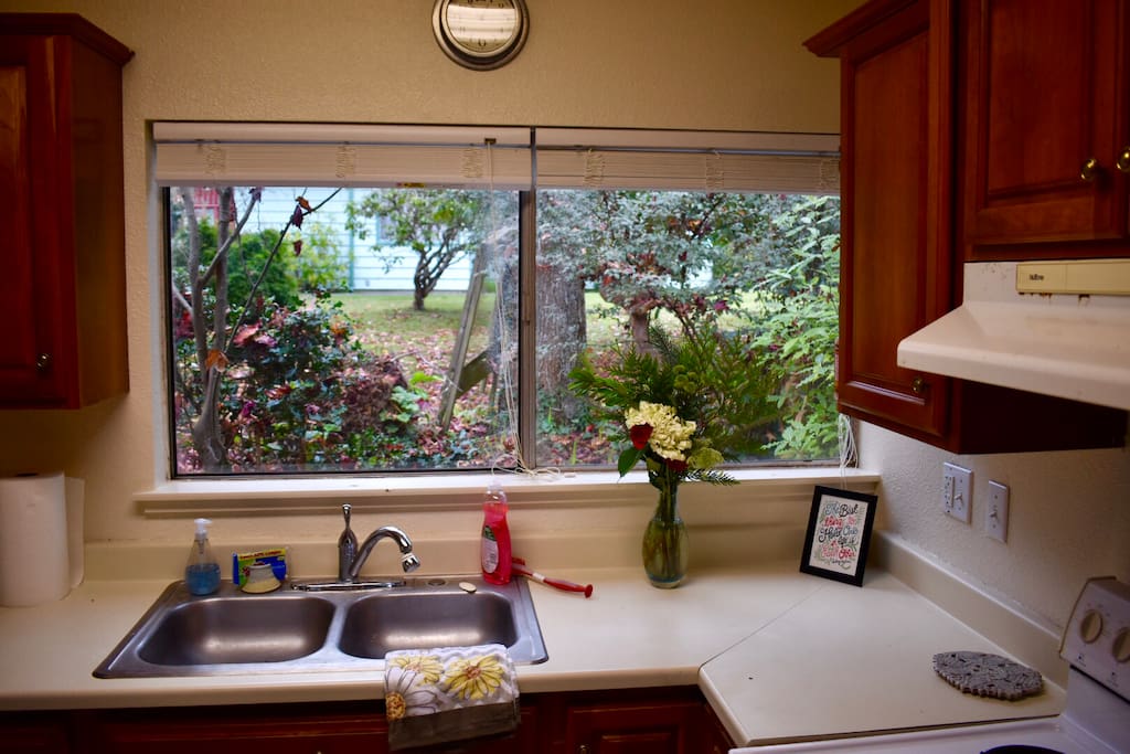 Look out at the greenery while in the kitchen