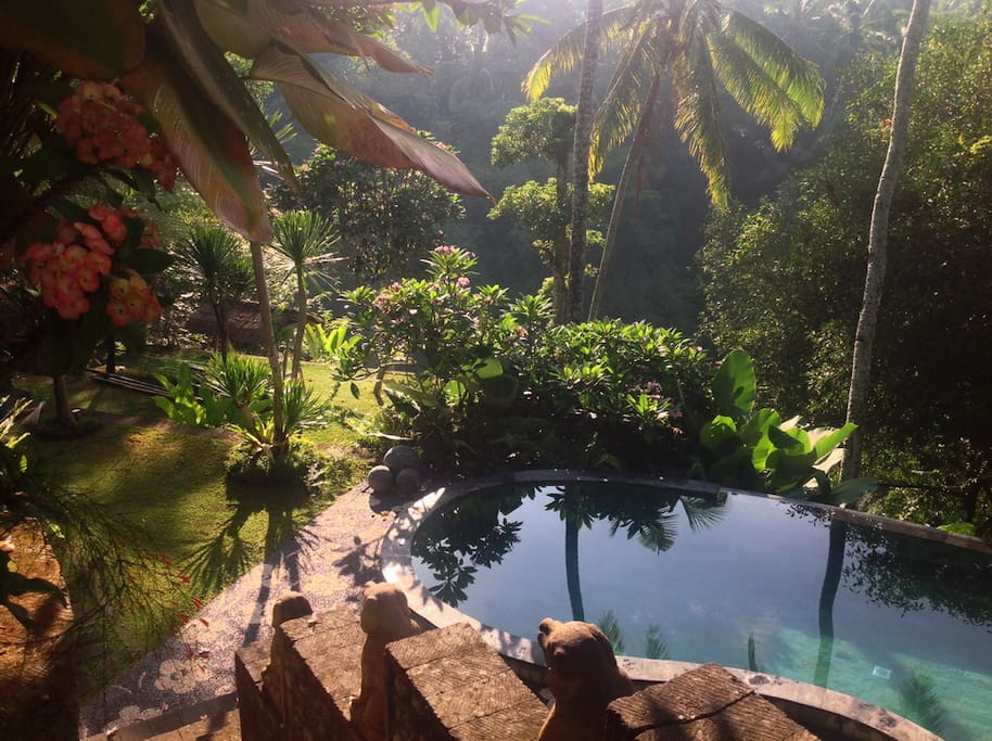 WELCOME TO VILLA CONSTANCE