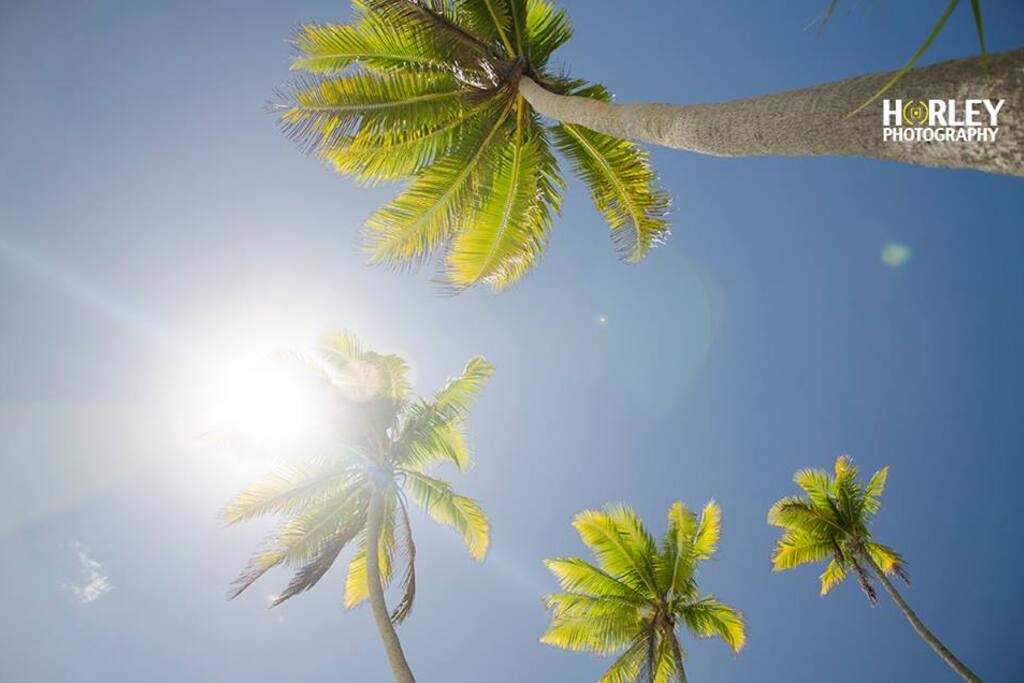Life is better in Tahiti