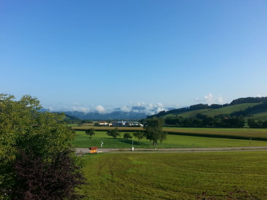 Blick vom Haus in Richtung Kirchzarten/Dreisamtal