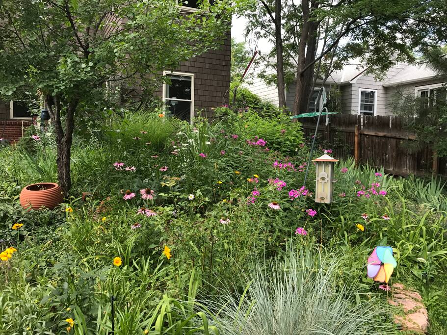 Beautiful garden setting.