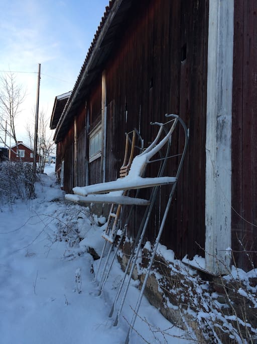 Kick sleds behind the barn, perfect on the ice or to get around in the village