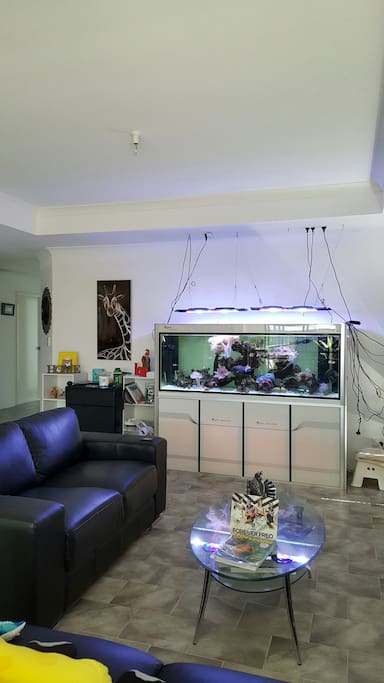 Relaxing lounge with Saltwater fishtank.