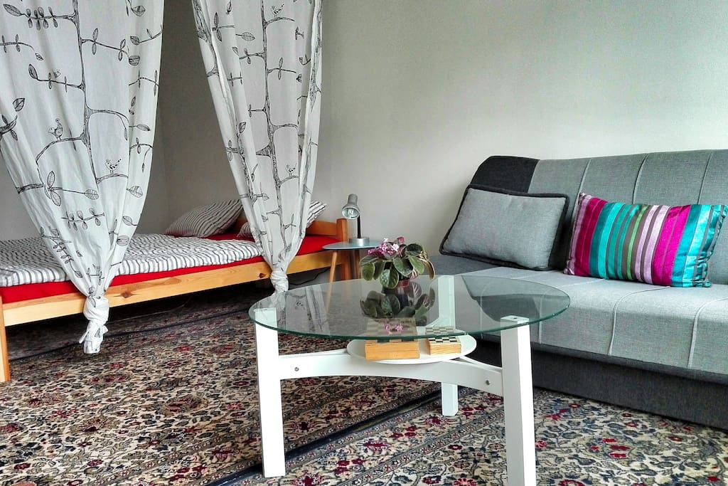 Living room with sofa, two beds, balcony, TV and shelves