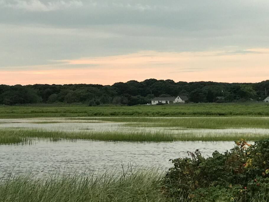 View From Seagull Beach looking at house