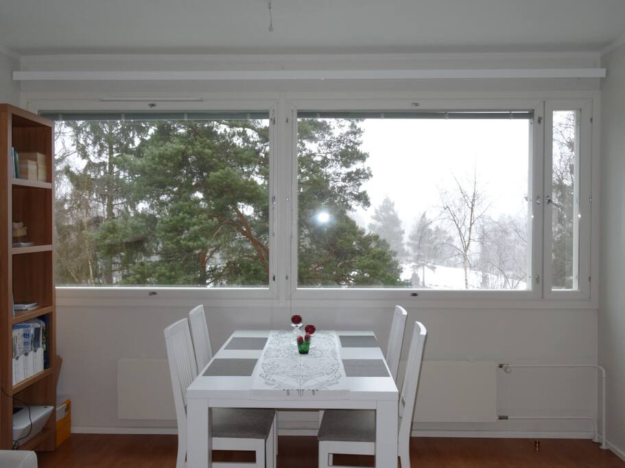Ikkunasta on rauhallinen metsä- ja kallionäkymä.