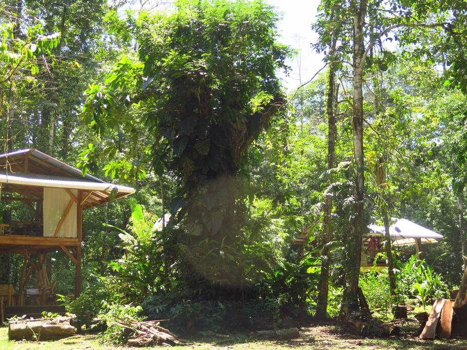 property enterance