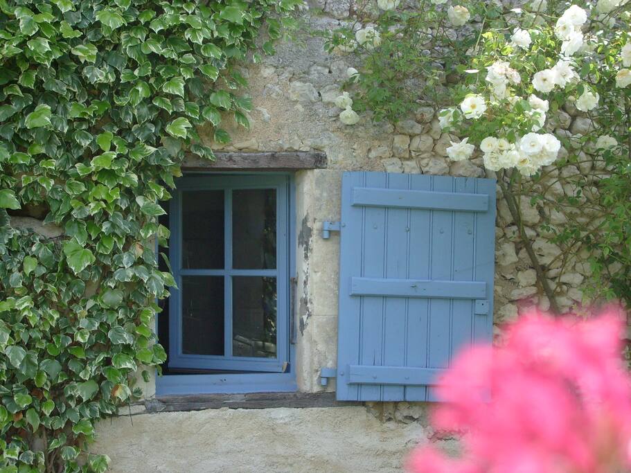 Volet bleu