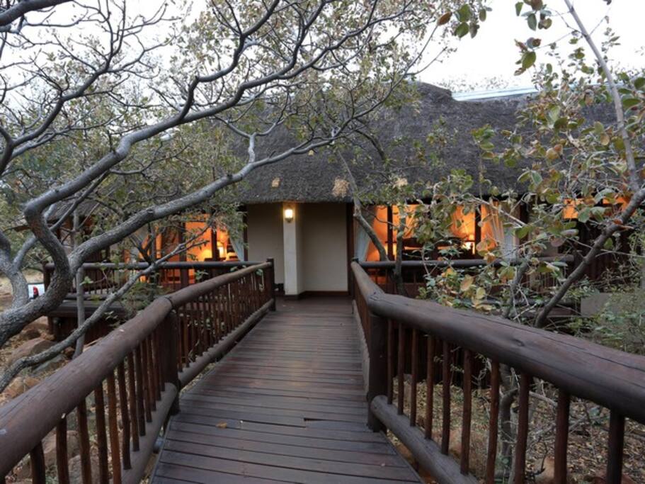 Pathways from bedrooms to main deck and pool