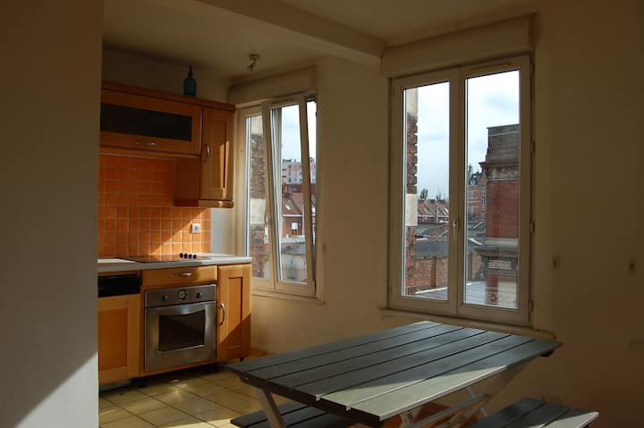 Lille Grand Appartement 2 Chambres Parking à 400m - Lille