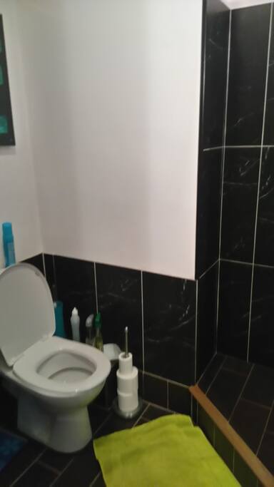 Les toilettes dans la salle d'eau