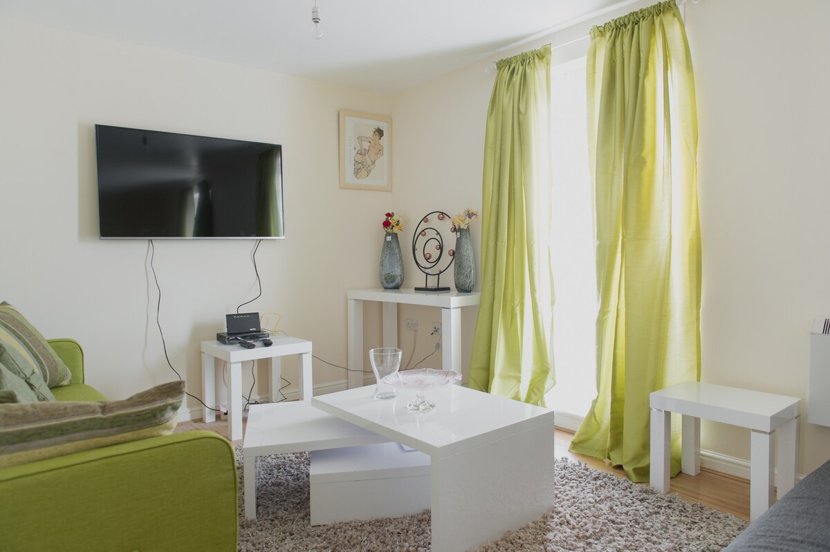 Sala de recepción que muestra TV inteligente montada en la pared, mesa de centro, sofá cama verde y cortinas verdes del patio, mesa de nido Morano, otras decoraciones, etc.