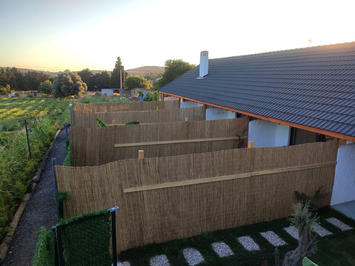 A view of the property’s outdoor area is presented, featuring natural greenery and a series of bamboo fences that separate five distinct accommodation units. A pathway with gravel stones is visible, leading to the organized space, allowing for privacy and tranquil surroundings.