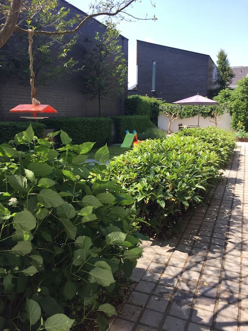 Zonnige tuin